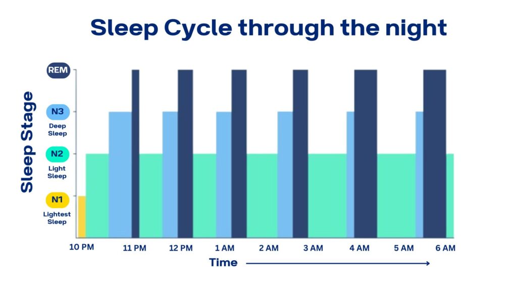 Sleep Cycle and Stages - Duration